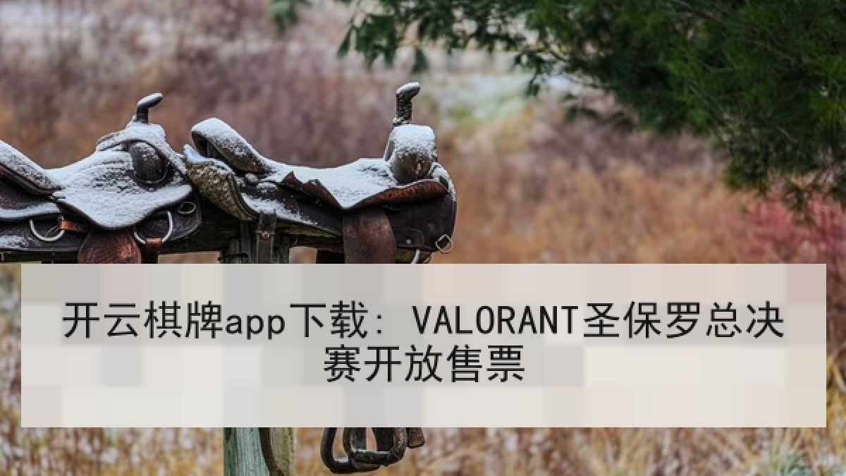 开云棋牌app下载: VALORANT圣保罗总决赛开放售票