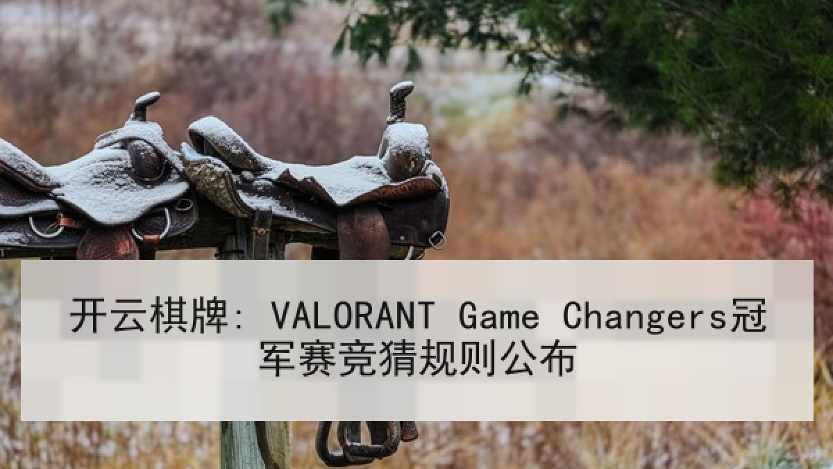 开云棋牌: VALORANT Game Changers冠军赛竞猜规则公布