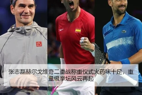张志磊赫尔戈维奇二番战称重仪式火药味十足，重量级拳坛风云再起