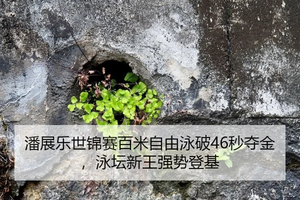 潘展乐世锦赛百米自由泳破46秒夺金，泳坛新王强势登基
